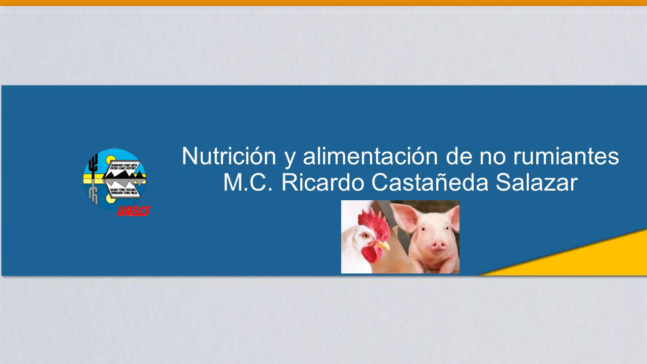 Course Image Nutrición y Alimentación de No Rumiantes "grupo A"